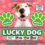 guide dog lottery results